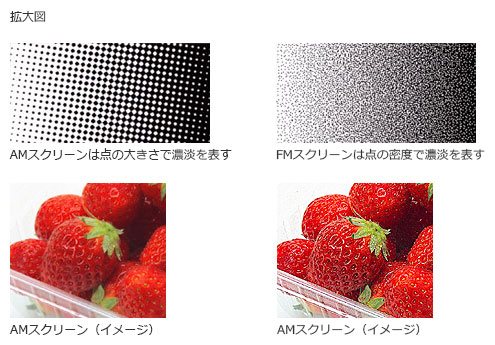 FMスクリーン特長イメージ